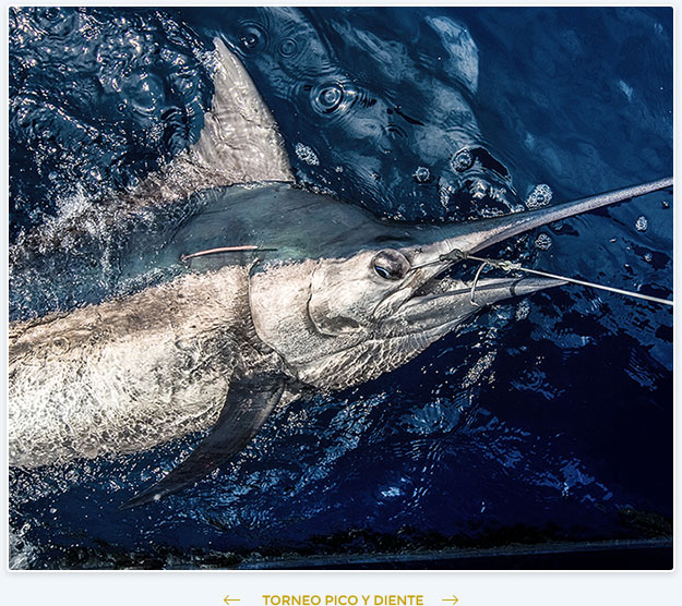 img-pesca-01